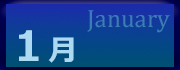 2026年1月の利用状況